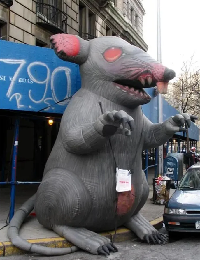 Giant gray inflatable rat displayed on a city sidewalk